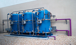 dm plant1